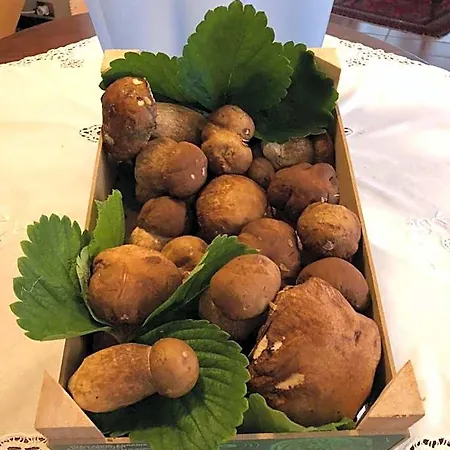 San Carlo