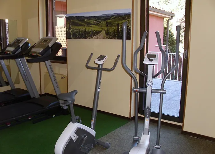 酒店 圣卡罗别墅酒店 4*