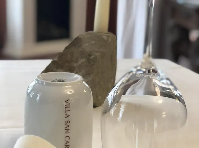 酒店 圣卡罗别墅酒店